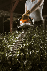 STIHL HS 46 C-E Hedge trimming