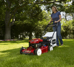 TORO PERSONAL PACE Walk Mowers