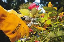 stihl hand tools pruners