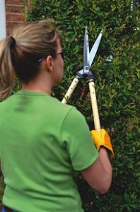 stihl hand tools hedge shears