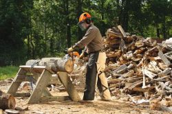 stihl equipment farm ranch chainsaws