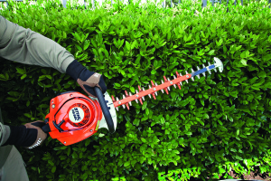 STIHL HS 56 Hedge Trimmer in action