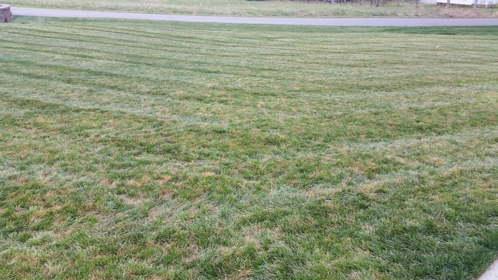 2015 April 2nd - 4 days after deep freeze occurred on March 29th, Applied Holganix today