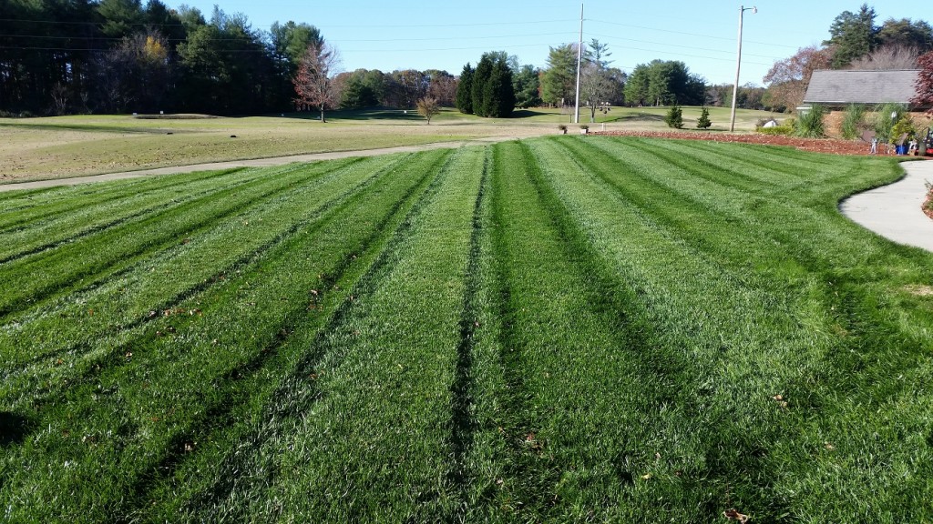 2015 Nov 14th - Dad's backyard just mowed