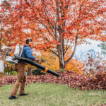 STIHL BR 800 Blower in Action