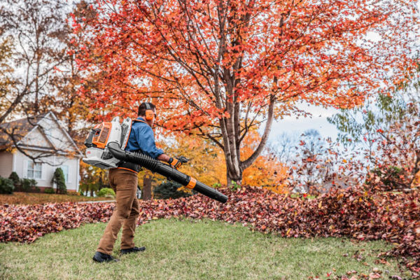 STIHL BR 800 Blower in Action