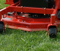 TORO 60